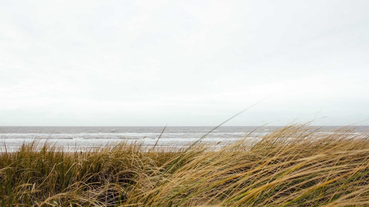 [piKKto 식탁 노트] <strong>대두 알러지</strong> 등 급식 알러지 표시 많은 날, 저녁 준비가 편해지는 식재료 4가지