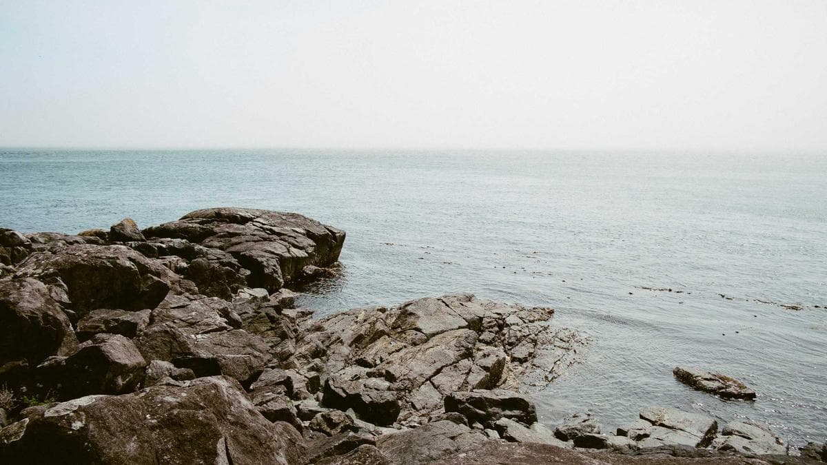 [내일 급식 브리핑] 인천가현초등학교 03.23 메뉴, 알러지 체크와 저녁 추천 대표 이미지