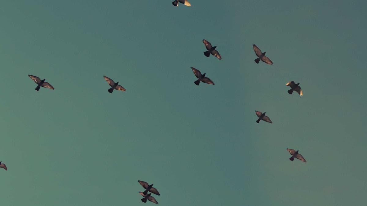 [내일의 급식 브리핑] 구미인덕초등학교 03.23 급식 메뉴, 알러지 및 저녁 추천